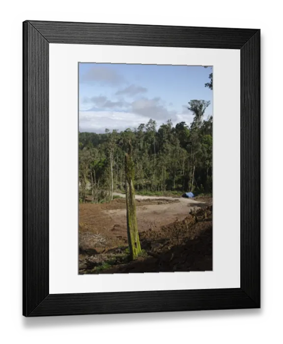 Framed Print : Ranforest clearance / logging near Tari Papua New Guinea Framed Print : Ranforest clearance / logging near Tari Papua New Guinea