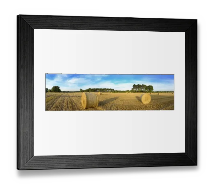 Framed Print : Hay bales in field on a summers evening near Westleton Suffolk Framed Print : Hay bales in field on a summers evening near Westleton Suffolk