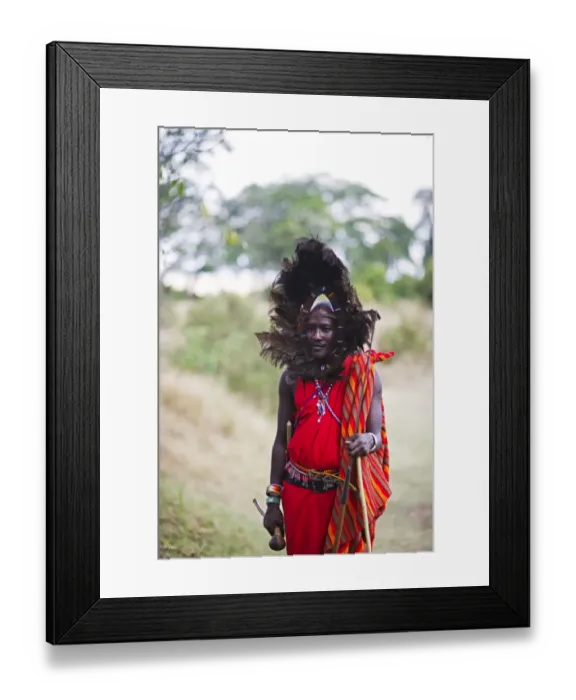 Framed Print : Kitkung Nampaso a Masai Warrior wearing Ostrich feather head dress as worn during Framed Print : Kitkung Nampaso a Masai Warrior wearing Ostrich feather head dress as worn during