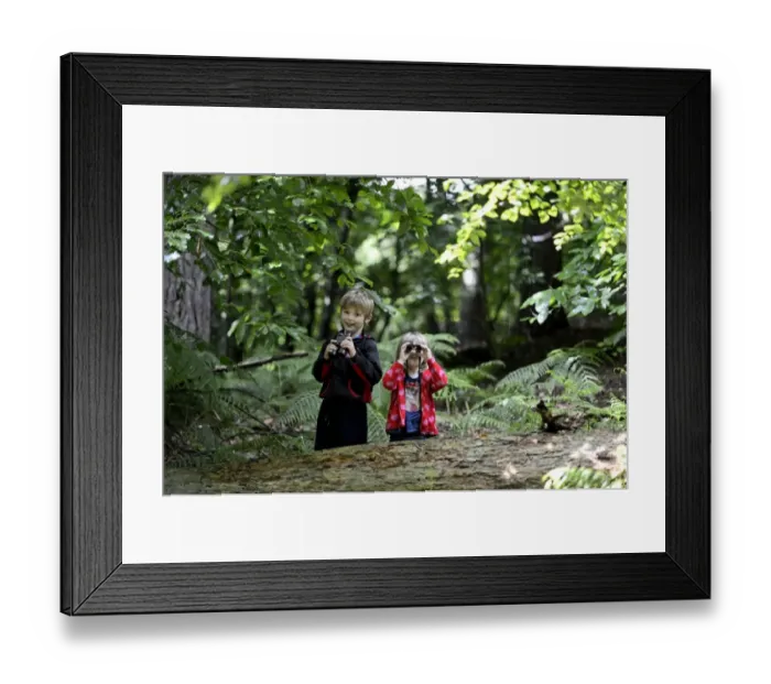 Framed Print : Young boy and girl )brother and sister) bird watching in woodland in summer Norfolk Framed Print : Young boy and girl )brother and sister) bird watching in woodland in summer Norfolk