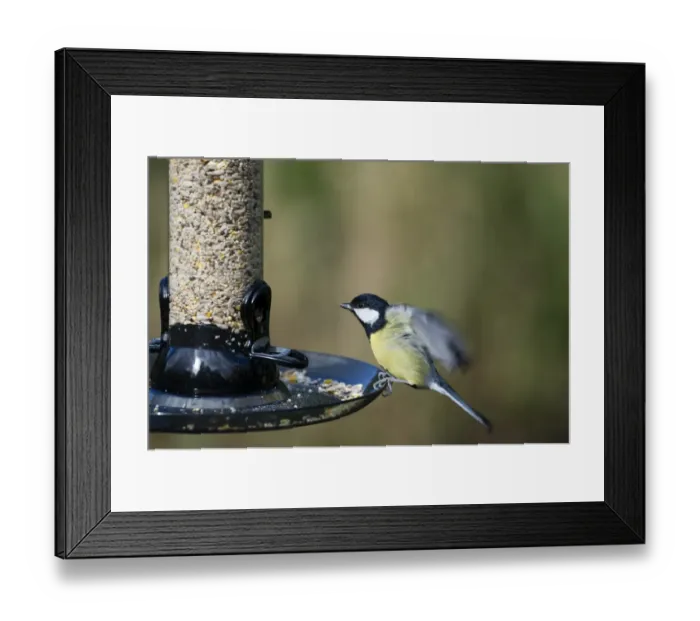 Framed Print : 005694 Framed Print : 005694