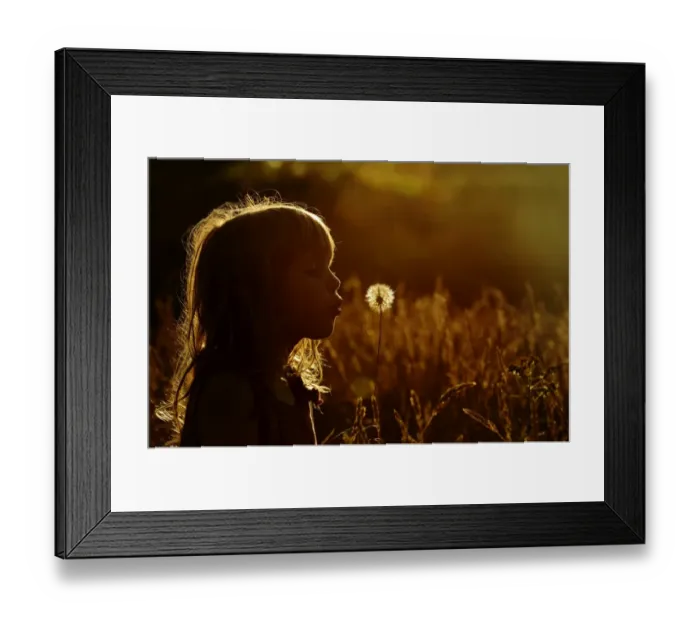 Framed Print : Young girl playing in meadow in late summer Norfolk - Model Released Framed Print : Young girl playing in meadow in late summer Norfolk - Model Released