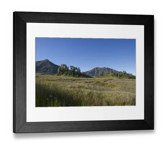 Framed Print : Alpine grassland at Tari Gap Southern Highlands Papua New Guinea Framed Print : Alpine grassland at Tari Gap Southern Highlands Papua New Guinea