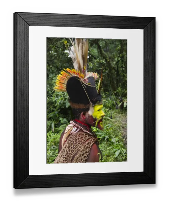 Framed Print : Huli Wigman Hale Johu from Tari Southern Highlands Papua New Guinea Framed Print : Huli Wigman Hale Johu from Tari Southern Highlands Papua New Guinea