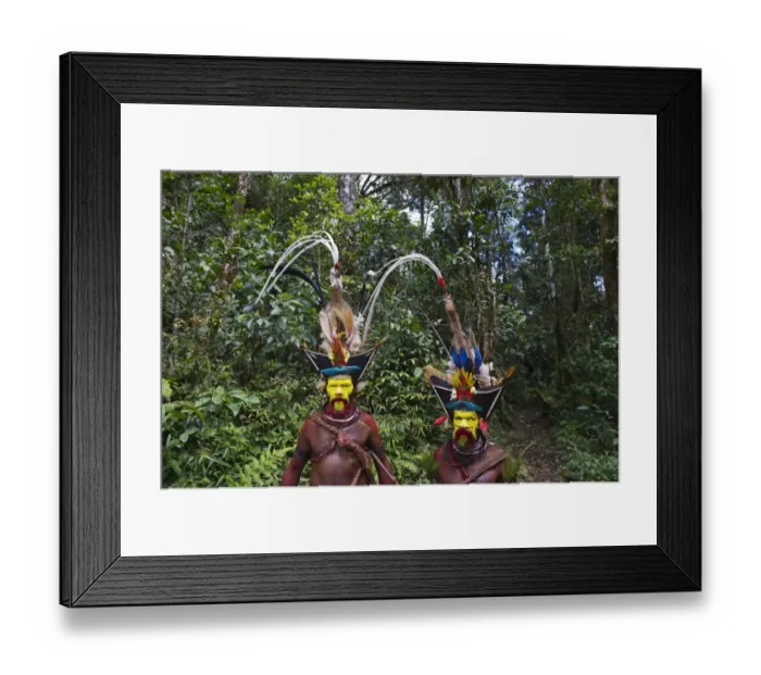 Framed Print : Huli Wigmen Timan Tumbu and Hale Johu from Tari Southern Highlands Papua New Guinea Framed Print : Huli Wigmen Timan Tumbu and Hale Johu from Tari Southern Highlands Papua New Guinea