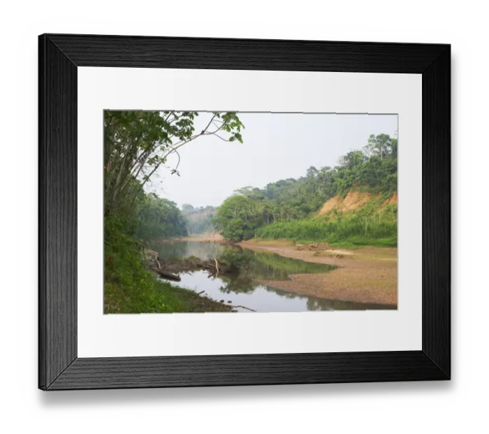Framed Print : Backwater of the Tambopata River showing clay bank where worlds largest macaw / parrot Framed Print : Backwater of the Tambopata River showing clay bank where worlds largest macaw / parrot