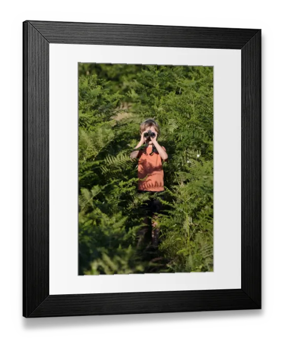 Framed Print : Young boy bird watching in meadow Norfolk summer Model released Framed Print : Young boy bird watching in meadow Norfolk summer Model released