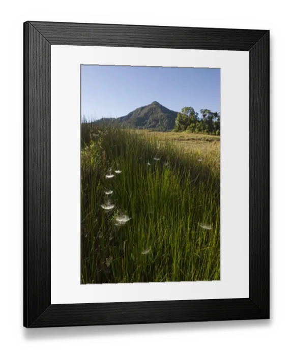 Framed Print : Alpine grassland at Tari Gap Southern Highlands Papua New Guinea
