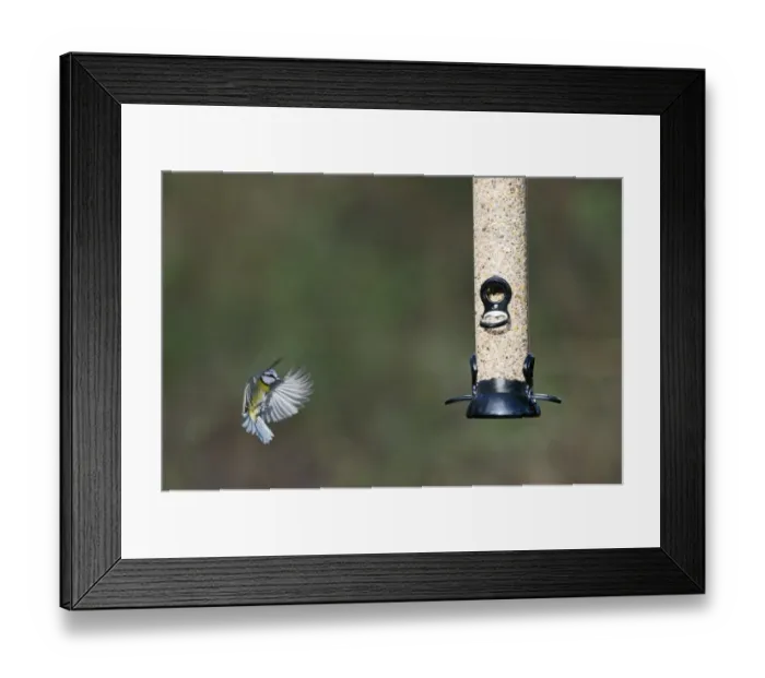Framed Print : 005790 Framed Print : 005790
