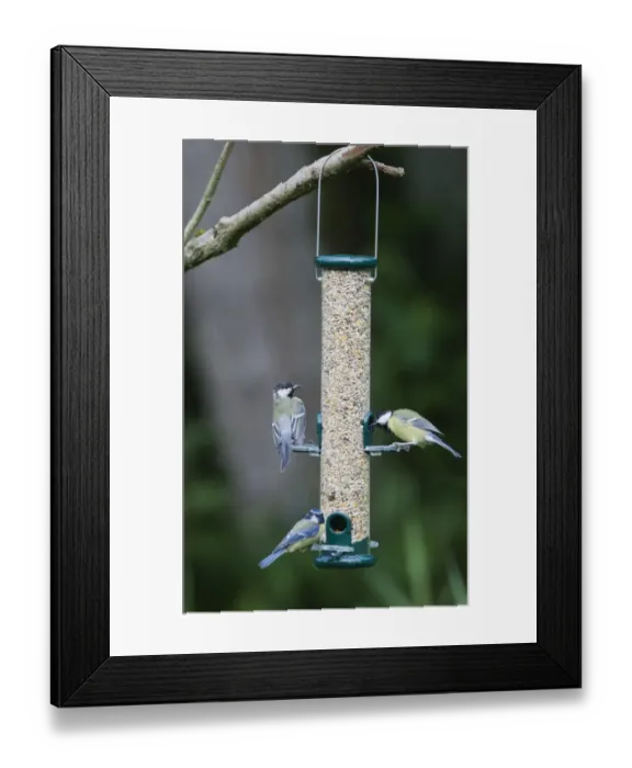 Framed Print : 004398 Framed Print : 004398