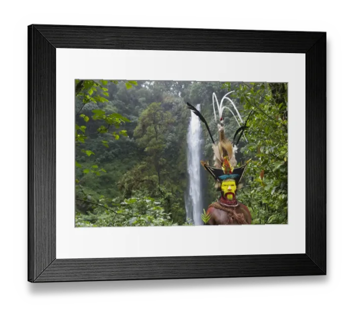 Framed Print : Timan Thumbu Huli Wigman from Tari Southern Highlands Papua New Guinea. Feathers