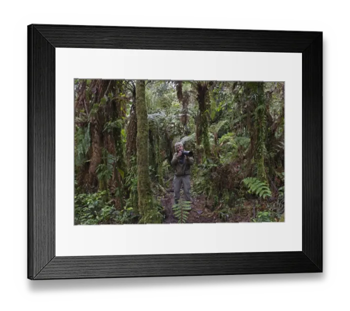 Framed Print : Photographer David Tipling in montane forest at 3000m near Mt Hagen in Western Highlands Framed Print : Photographer David Tipling in montane forest at 3000m near Mt Hagen in Western Highlands