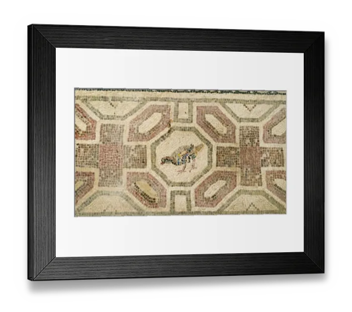 Framed Print : Partridge - Chukar mosaic Paphos in Cyprus, one of the strongholds of the Ptolemaic kings Framed Print : Partridge - Chukar mosaic Paphos in Cyprus, one of the strongholds of the Ptolemaic kings