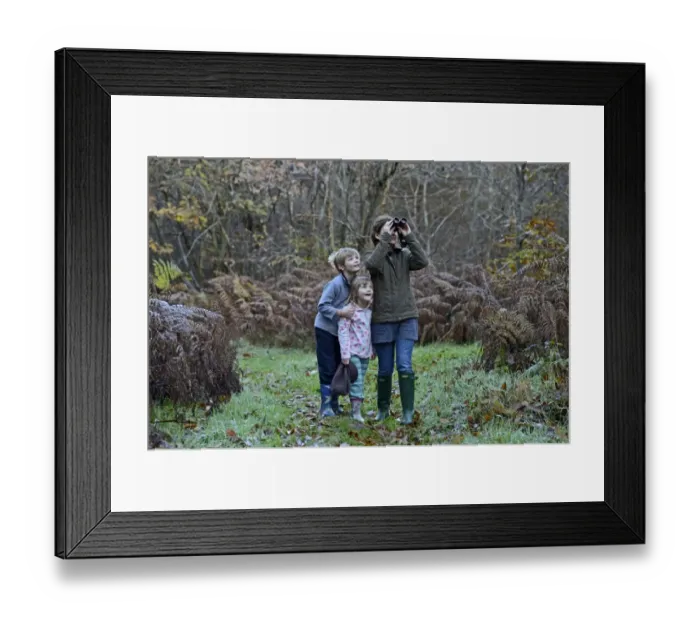 Framed Print : Mother, son and daughter on woodland walk in autumn Norfolk Framed Print : Mother, son and daughter on woodland walk in autumn Norfolk
