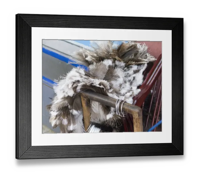 Framed Print : Rhea feathers being sold as feather dusters on street in Santiago Chile Framed Print : Rhea feathers being sold as feather dusters on street in Santiago Chile