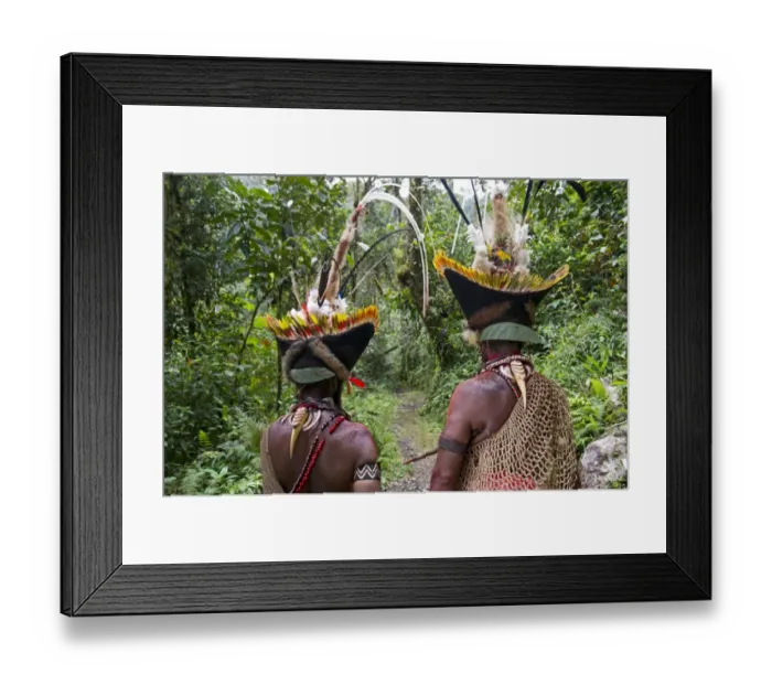 Framed Print : Huli Wigmen with Blyths Hornbill bills as necklace decoration Tari Southern Highlands Framed Print : Huli Wigmen with Blyths Hornbill bills as necklace decoration Tari Southern Highlands