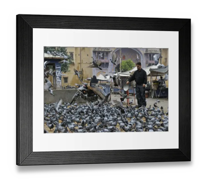 Framed Print : 009811 Framed Print : 009811