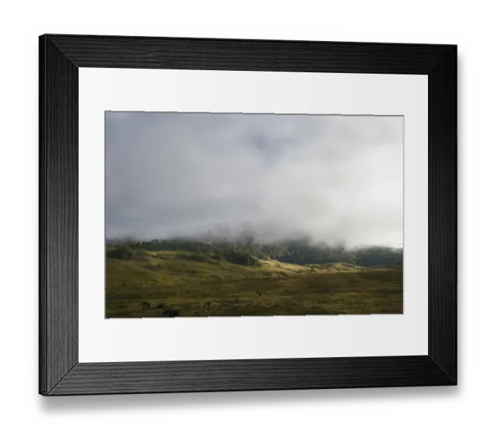 Framed Print : Alpine grassland and forest at Tari Gap at 9000 ft in Southern Highlands Papua New Guinea Framed Print : Alpine grassland and forest at Tari Gap at 9000 ft in Southern Highlands Papua New Guinea