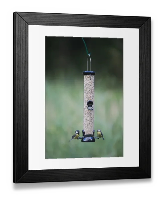 Framed Print : 005697 Framed Print : 005697