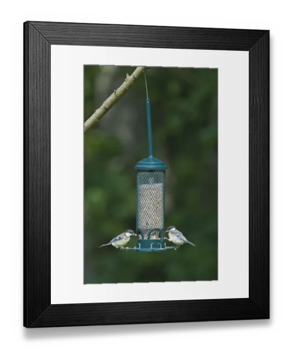 Framed Print : 004381 Framed Print : 004381