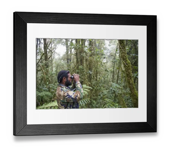 Framed Print : Bird guide Benson Hale on his own trail - Bensons Trail at Tari in Southern Highlands
