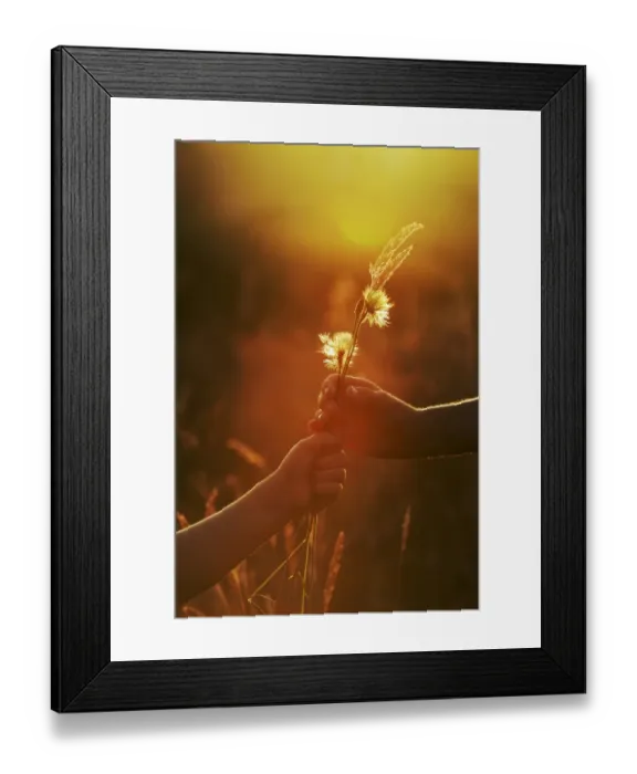 Framed Print : Young boy and girl passing grasses and flowers / playing in meadow in late evening Framed Print : Young boy and girl passing grasses and flowers / playing in meadow in late evening