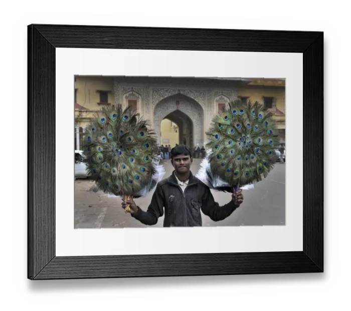 Framed Print : Hawker with decorative peacock feather fans being sold to tourists in Jaipur India