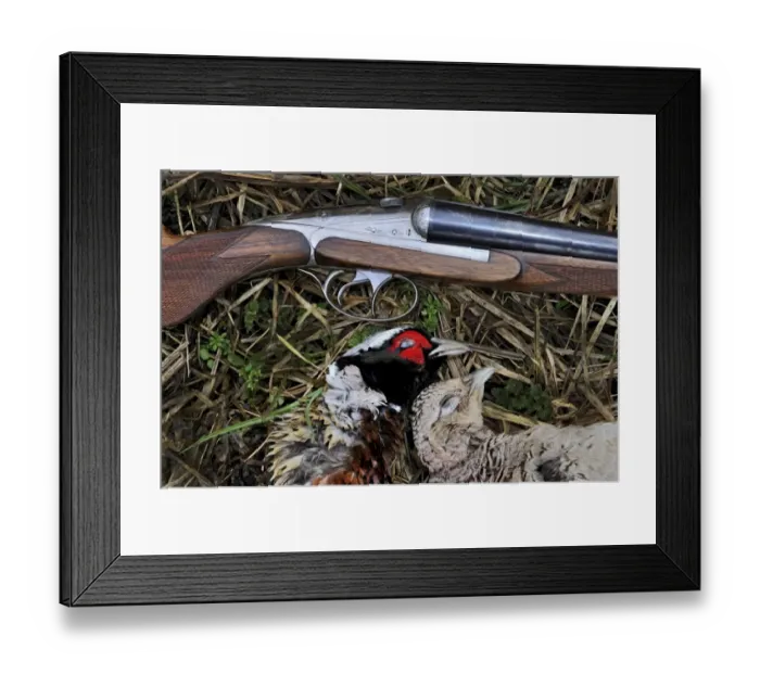 Framed Print : Dead Pheasants and shotgun Norfolk winter Framed Print : Dead Pheasants and shotgun Norfolk winter