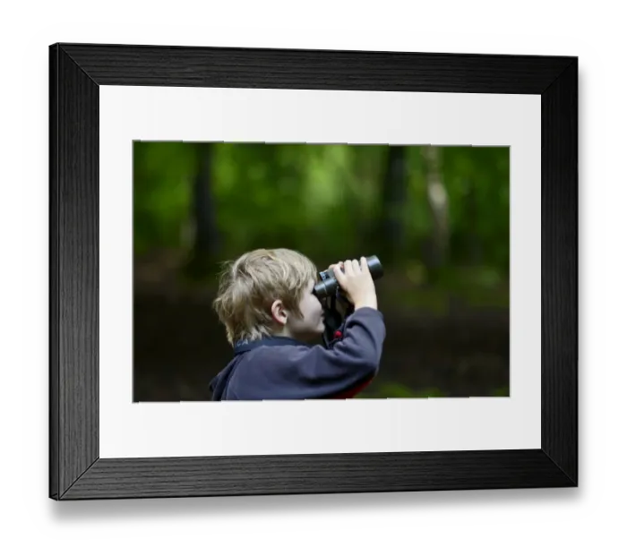 Framed Print : Young boy bird watching in woodland Norfolk summer Model released Framed Print : Young boy bird watching in woodland Norfolk summer Model released