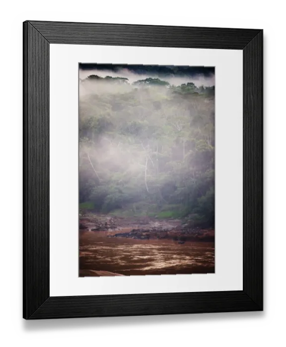 Framed Print : View across canopy of Amazonian rainforest at dawn Tambopata Peru Framed Print : View across canopy of Amazonian rainforest at dawn Tambopata Peru