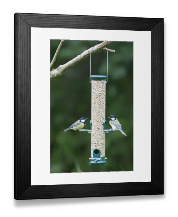Framed Print : 004401 Framed Print : 004401