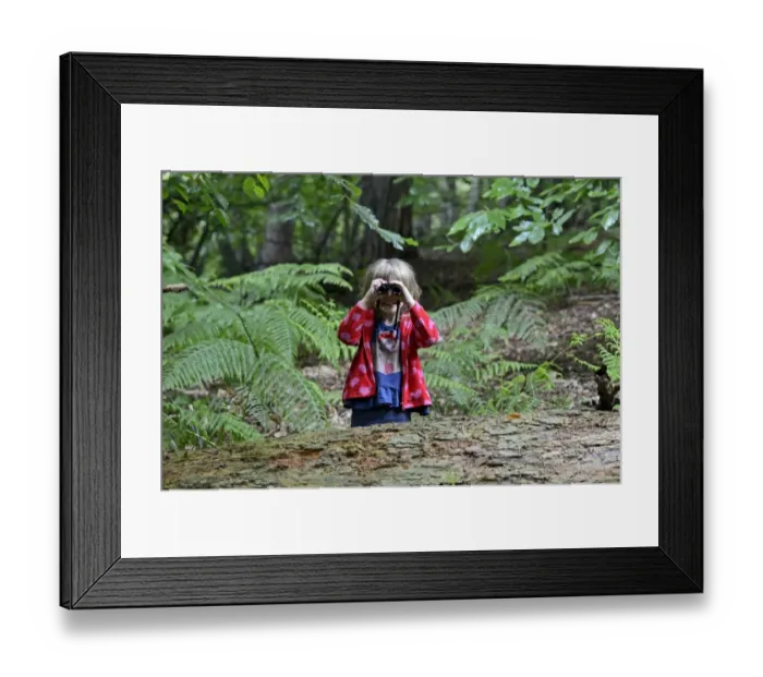 Framed Print : Young girl bird watching in woodland in summer Norfolk Model Released Framed Print : Young girl bird watching in woodland in summer Norfolk Model Released