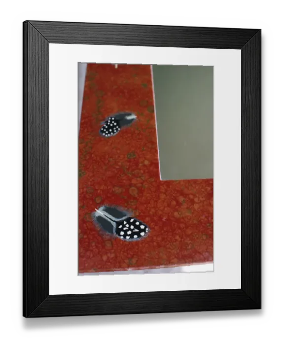 Framed Print : Lacquer mirror with painted guineafowl feathers Kenya East Africa Framed Print : Lacquer mirror with painted guineafowl feathers Kenya East Africa