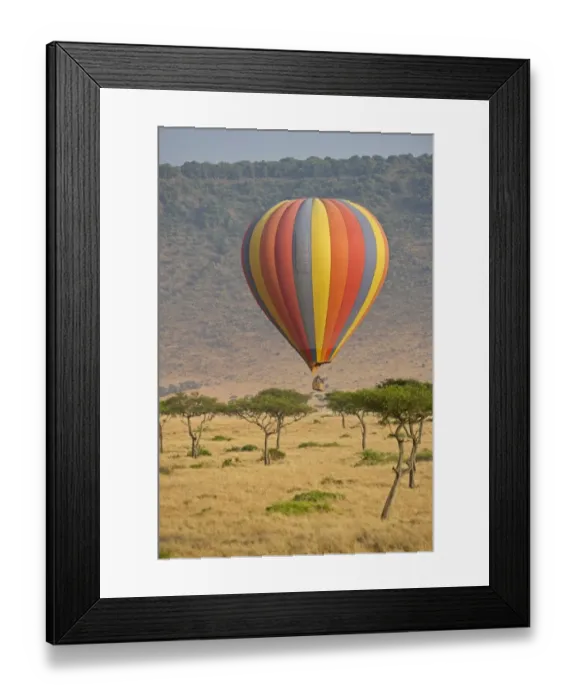 Framed Print : Hot air balloon carrying tourists over Masai Mara Kenya at dawn Framed Print : Hot air balloon carrying tourists over Masai Mara Kenya at dawn
