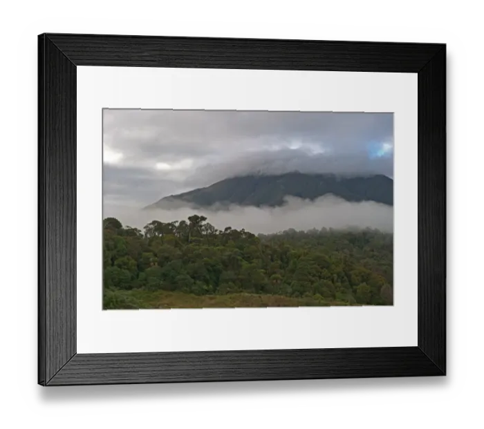 Framed Print : Montane forest and grassland at Tari Gap (9000ft) Southern Highlands Papua New Guinea Framed Print : Montane forest and grassland at Tari Gap (9000ft) Southern Highlands Papua New Guinea