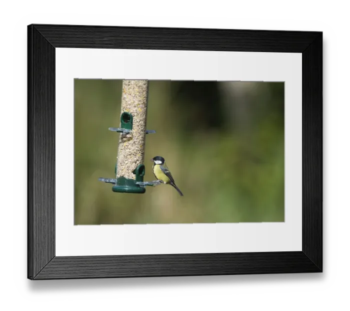 Framed Print : 005714 Framed Print : 005714