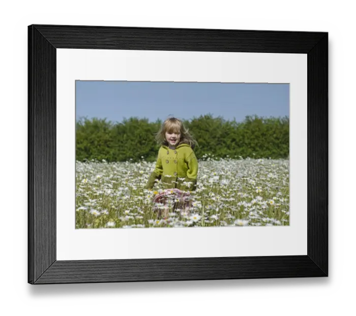 Framed Print : Young girl in Ox-eye Daisy field Norfolk summer