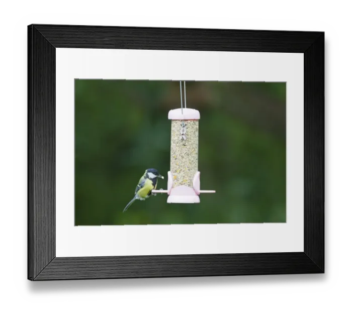 Framed Print : 004403 Framed Print : 004403