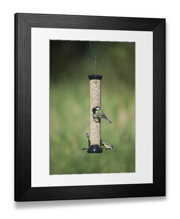 Framed Print : 005698 Framed Print : 005698