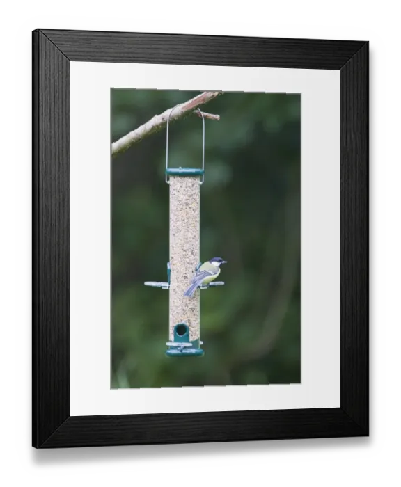 Framed Print : 004394 Framed Print : 004394