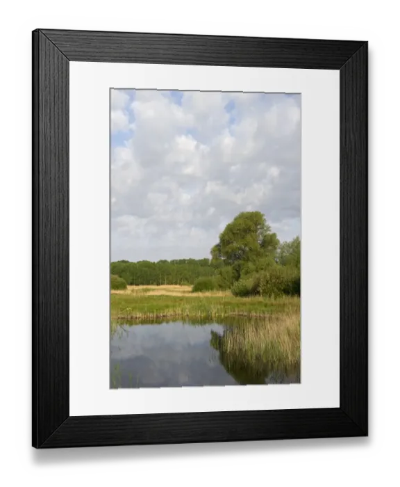 Framed Print : Lakenheath RSPB Reserve Suffolk Framed Print : Lakenheath RSPB Reserve Suffolk