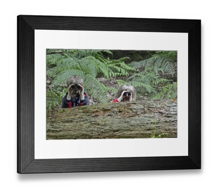 Framed Print : Young boy and girl )brother and sister) bird watching in woodland in summer Norfolk Framed Print : Young boy and girl )brother and sister) bird watching in woodland in summer Norfolk
