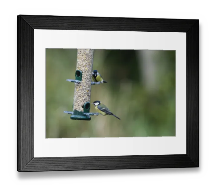 Framed Print : 005715