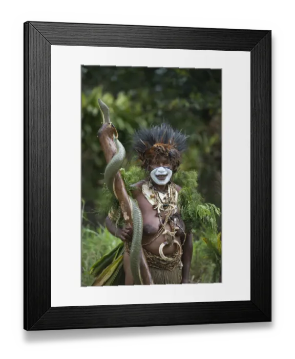 Framed Print : Jiwaka Tribe from Western Highlands at Mt Hagen Show Papua New Guinea Note head dress Framed Print : Jiwaka Tribe from Western Highlands at Mt Hagen Show Papua New Guinea Note head dress