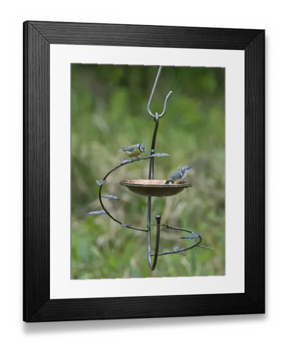 Framed Print : 004411 Framed Print : 004411