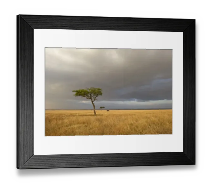 Framed Print : View across the Masai Mara Kenya Framed Print : View across the Masai Mara Kenya