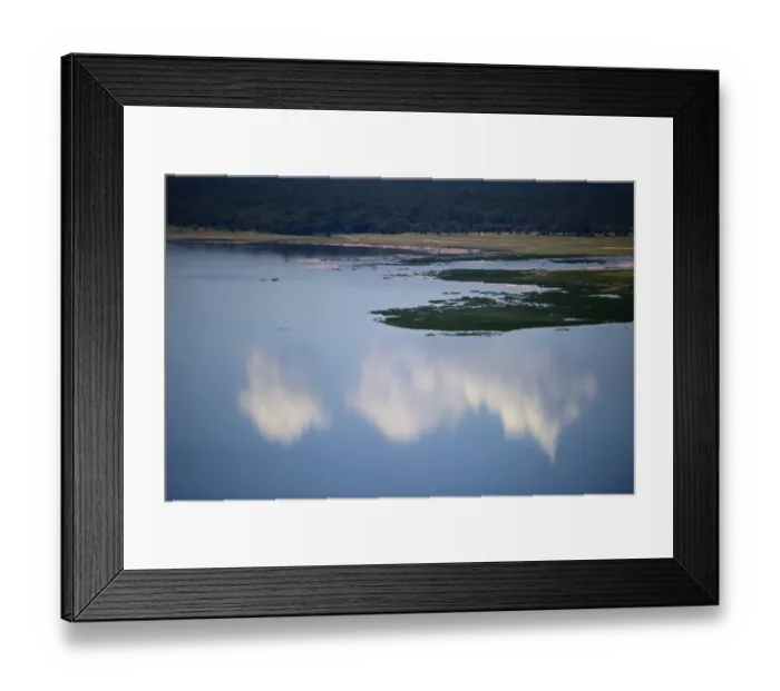 Framed Print : Lesser Flamingos Phoenicopterus minor on Lake Nakuru Kenya Framed Print : Lesser Flamingos Phoenicopterus minor on Lake Nakuru Kenya