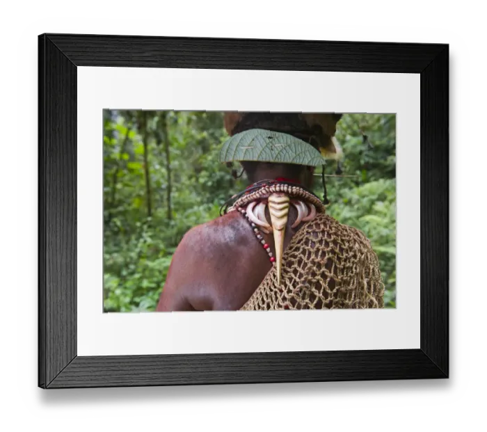 Framed Print : Huli Wigmen with Blyths Hornbill bills as necklace decoration Tari Southern Highlands Framed Print : Huli Wigmen with Blyths Hornbill bills as necklace decoration Tari Southern Highlands