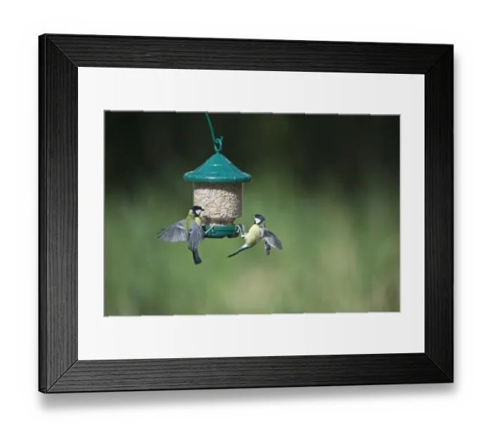 Framed Print : 005709 Framed Print : 005709