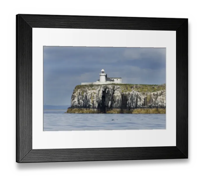 Framed Print : Inner Farne, Farne Islands Northumberland summer Framed Print : Inner Farne, Farne Islands Northumberland summer